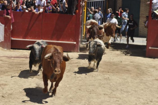 Los municipios taurinos de Extremadura recibirán sus distinciones el 4 de diciembre en Cáceres