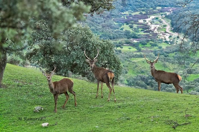 Un placentino dona a Ecologistas Granadilla una biblioteca de naturaleza con más de 150 libros