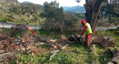 El centro de FP de Valdivia oferta tres ciclos de grado de formación forestal gratuitos