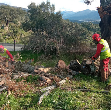 Zamora guarda silencio por las víctimas del atentado de Barcelona 