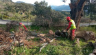 El centro de FP de Valdivia oferta tres ciclos de grado de formación forestal gratuitos