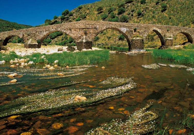 Cacereños por Cáceres reclama un plan integral de desarrollo turístico para la comarca Ibores- Villuercas- Jara