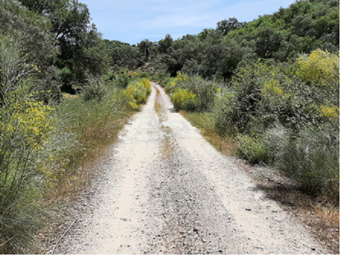 Desarrollo Rural invertirá más de 1,1 millón de euros en acondicionar el camino rural de Jerez de los Caballeros a Encinasola