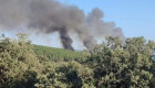 El Infoex interviene en 12 incendios  en la última semana de junio con más de 200 hectáreas quemadas