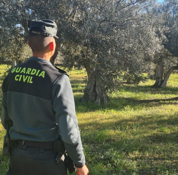 Zamora guarda silencio por las víctimas del atentado de Barcelona 