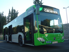 Las obras en Ronda San Francisco de Cáceres obligan a suprimir dos paradas de autobuses