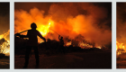 Los incendios forestales arrasan 21.730 hectáreas en la primera mitad del año
