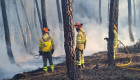 El Infoex ha intervenido en 21 incendios forestales en Extremadura en la última semana
