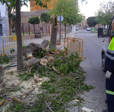 Zamora guarda silencio por las víctimas del atentado de Barcelona 