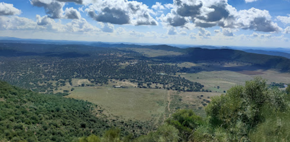 Olivenza organiza la I ruta senderista “Camina por Al(m)or” con un recorrido de 15 kilómetros