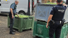 Investigados dos trabajadores de una empresa de transporte de Badajoz por robar 9.000 kg de aceitunas