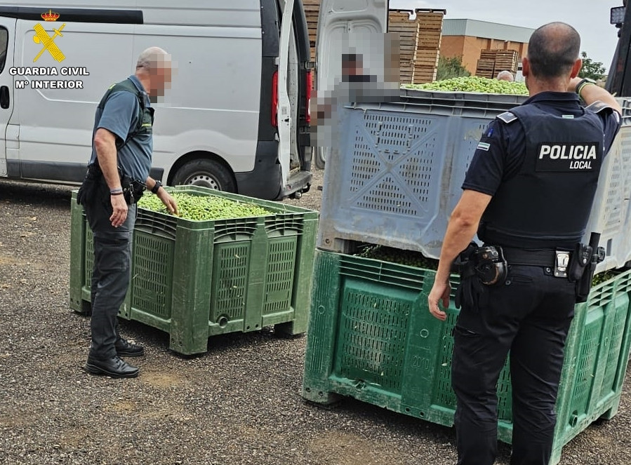 Investigados dos trabajadores de una empresa de transporte de Badajoz por robar 9.000 kg de aceitunas