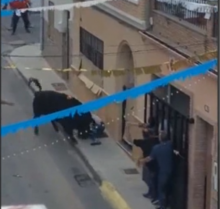 Un toro de la ganadería extremeña de San Martín mata a un aficionado en un festejo popular en Castellón