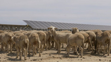 La planta solar más grande de Europa está en Extremadura y produce energía para 334.400 hogares al año