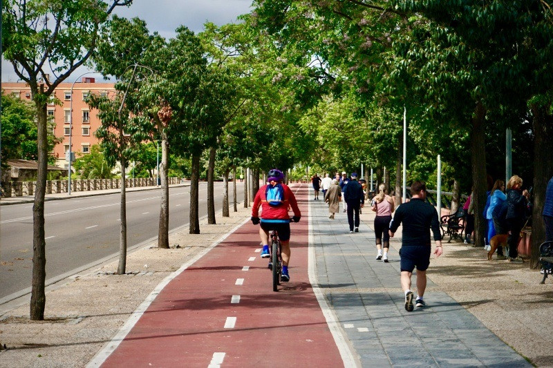 Badajoz destina 700.000 euros para los alcorques de las calles arboladas