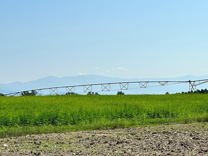 La Junta apuesta por el cáñamo industrial y su papel como protector del medio ambiente