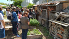 Cáceres acogerá el día 16 un taller sobre hoteles para insectos