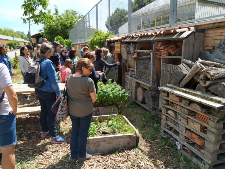 Cáceres acogerá el día 16 un taller sobre hoteles para insectos