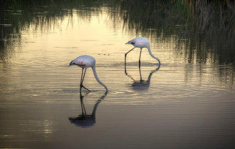 El fotógrafo Ángel Felicísimo expone en Mérida imágenes de su recorrido por lugares del mundo