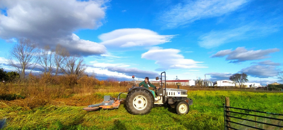 Extremadura da ayudas a jóvenes agricultores y ganaderos para crear nuevas explotaciones