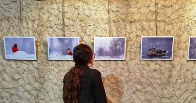 En Nueva York también hay aves, una exposición de Héctor Cordero en Moraleja