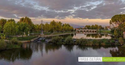 Si tienes un móvil, ya puedes hacer espectaculares fotos a las aves que sobrevuelan Moraleja