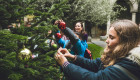 Este es el horario de cierre de los establecimientos públicos en las fiestas de Navidad