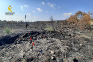 Identificados los responsables que provocaron un incendio en Alange