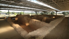 Alumnos de varios institutos de La Serena visitarán el yacimiento arqueológico de Cancho Roano