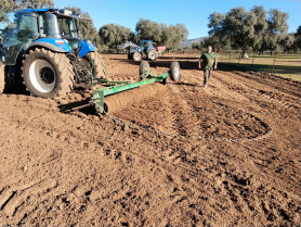 Un proyecto implementa prácticas de gestión de pastos para medir su impacto económico