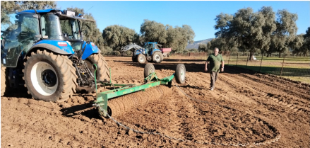 Un estudio realizado en tres fincas piloto de Extremadura permite mejorar el manejo del pasto