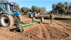 Un estudio realizado en tres fincas piloto de Extremadura permite mejorar el manejo del pasto