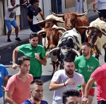 Zamora guarda silencio por las víctimas del atentado de Barcelona 