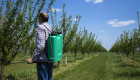 Extremadura y otras siete comunidades rechazan la reducción de fitosanitarios del Ministerio de Agricultura