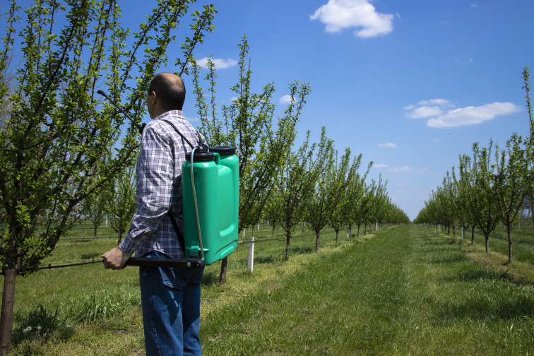 Extremadura y otras siete comunidades rechazan la reducción de fitosanitarios del Ministerio de Agricultura