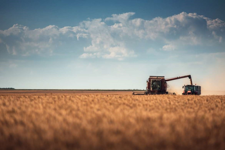 La Junta ayudará a los agricultores con 10,5 millones de euros para que aseguren sus campañas