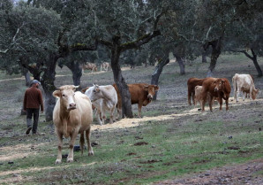 Apag Extremadura Asaja exige marcha atrás al cobro de las tasas ganaderas a partir de 2025