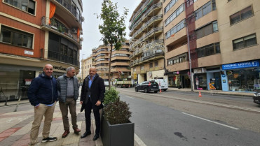 El Ayuntamiento de Cáceres embellece la calle Gil Cordero con la instalación de árboles y plantas