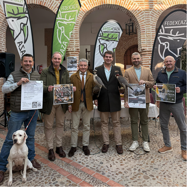 Llerena, epicentro de la cetrería en España con la celebración del Campeonato Nacional 2025