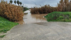 El Ayuntamiento de Don Benito y la CHG colaboran para el mantenimiento del Arroyo del Campo