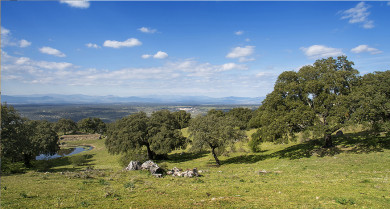 Una batida de caza obliga a blindar el monte Valcorchero de Plasencia