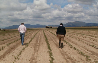 Navalmoral será uno de los primeros lugares a los que llegará el hidrógeno verde para uso agrario