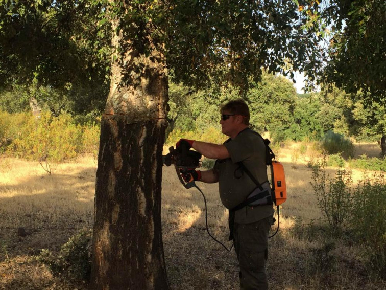 Expertos mostrarán buenas prácticas selvícolas para ejecutar en los alcornoques del Valle del Árrago