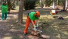 Absuelven a la empresa, el trabajador que se cortó con una motosierra tuvo la culpa