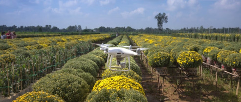 Investigadores extremeños abordarán en Mérida el futuro de la digitalización en la agricultura