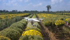 Investigadores extremeños abordarán en Mérida el futuro de la digitalización en la agricultura