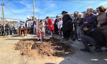 Villanueva de la Sierra reparte más de 300 kilos de carne en su Fiesta del Árbol