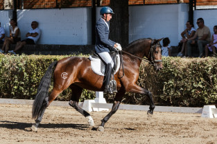 El recinto hípico de Zafra celebrará seis competiciones nacionales de doma y salto de obstáculos