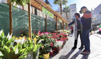 Moraleja rendirá homenaje el día 16 a las mujeres floristas de la localidad