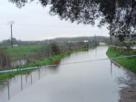 La crecida del río Alagón en Coria obliga a cortar el camino de Rincón del Obispo